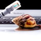 Snail with rj45 connector symbolic photo for slow internet connection.