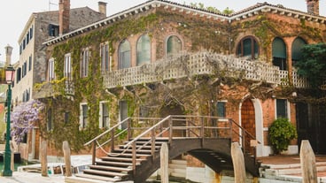 Terrace in Venice with a floral patio. House with a facade overgrown with grape hole. Bridge over the venetian canal.