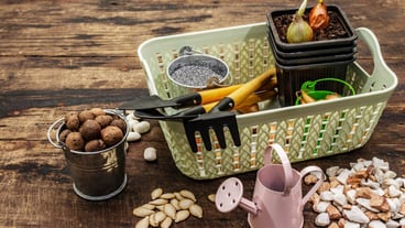 Spring planting and gardening tools