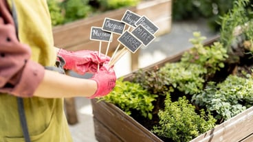 Holding wooden plates with inscriptions of plant names