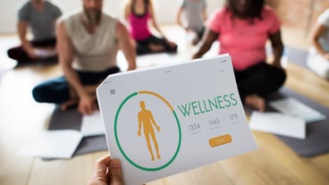 Wellness Diet Plan Healthy Living Icon