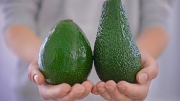 Female hands holding avocados on blurred background