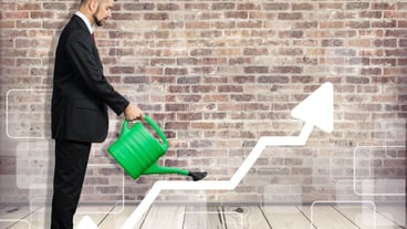 Concept of growth of a company