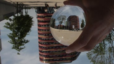 Close-up of hand holding reflection of trees against sky