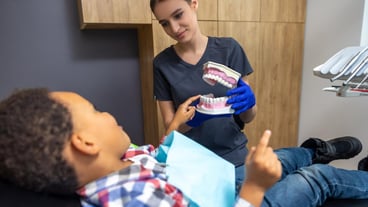 In dentistry Darkskinned boy looking interested in jaw mockup