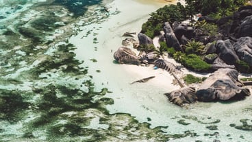 Scenic view of sea shore