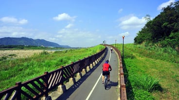 Rear view of man riding bicycle on road