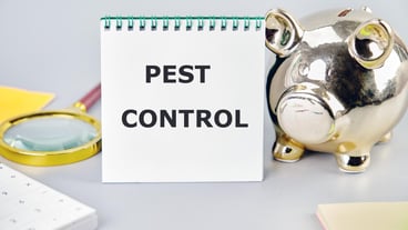 Pest control phrase written on a notebook on a gray background