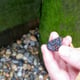 Cropped hand holding stone