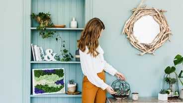 Portrait of a girl in the interior, florariums in the interior, interior solutions, business and home