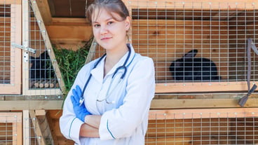 Veterinarian woman with stethoscope on barn ranch background