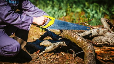 Man sawing wood for campfire in the forest.