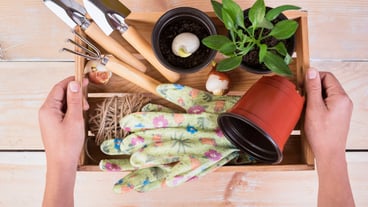 Still life with gardening objects