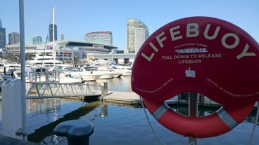 Close-up of life belt at harbor