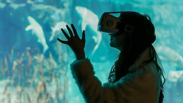 Submerged in the virtual ocean A woman experiences virtual reality with a VR headset