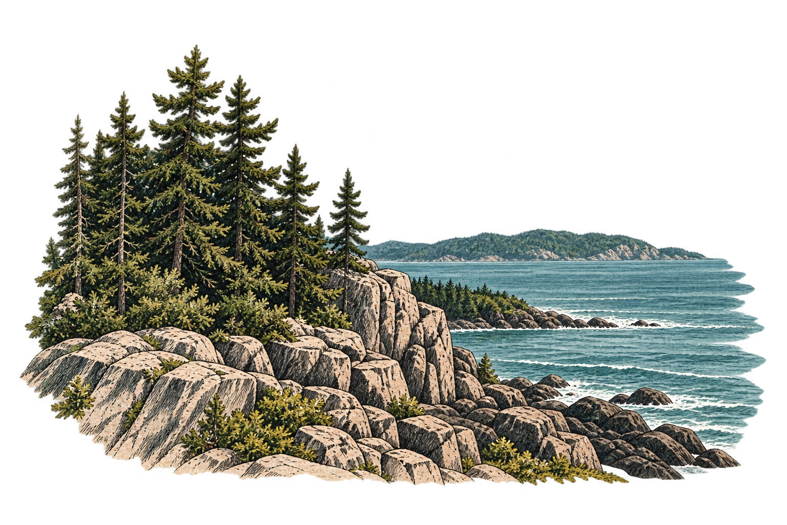 An illustrated Acadia coastline, with pine-covered islands, granite cliffs and blue water.
