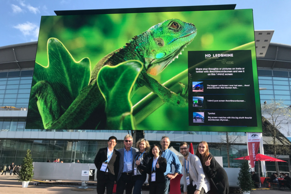 Large outdoor LED screen displaying vivid green iguana visuals at an event
