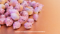 Seed Protocol - Dynamical Lunar Indigenous Time (DLITE) 43:28:22.0004124 #10 thumbnail