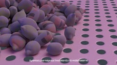 Seed Protocol - Dynamical Lunar Indigenous Time (DLITE) 43:28:22.0004124 #55 thumbnail