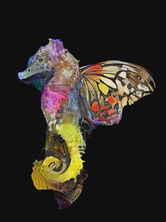 Polymorphism 14 thumbnail