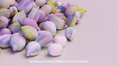 Seed Protocol - Dynamical Lunar Indigenous Time (DLITE) 43:28:22.0004124 #13 thumbnail