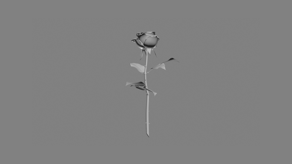 Rose by Kim Laughton