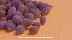 Seed Protocol - Dynamical Lunar Indigenous Time (DLITE) 43:28:22.0004124 #63 thumbnail