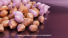 Seed Protocol - Dynamical Lunar Indigenous Time (DLITE) 43:28:22.0004124 #77 thumbnail