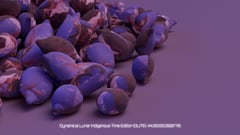 Seed Protocol - Dynamical Lunar Indigenous Time (DLITE) 43:28:22.0004124 #79 thumbnail