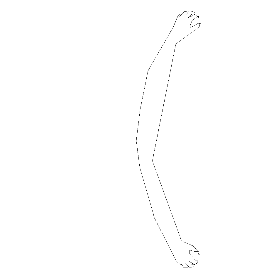 Mirror Arm by Francoise Gamma
