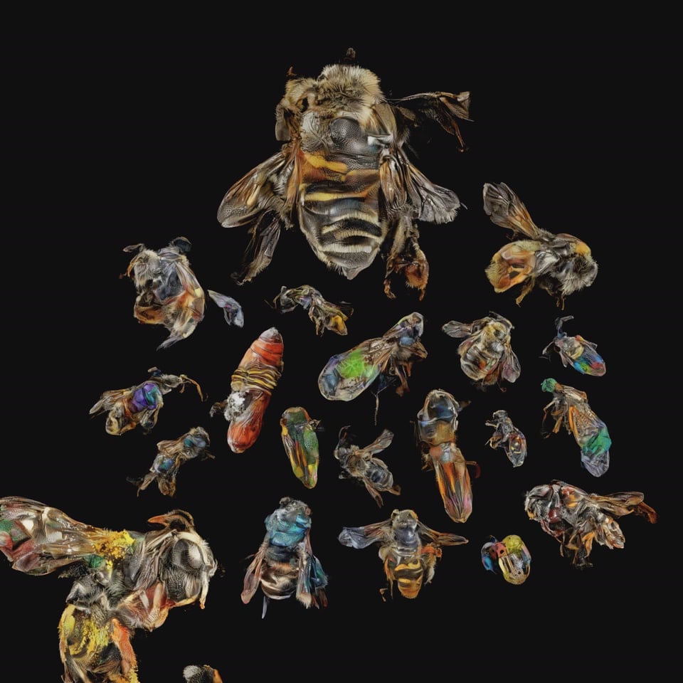 neural swarm thumbnail