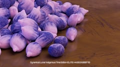 Seed Protocol - Dynamical Lunar Indigenous Time (DLITE) 43:28:22.0004124 #25 thumbnail