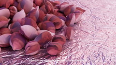 Seed Protocol - Dynamical Lunar Indigenous Time (DLITE) 43:28:22.0004124 #36 thumbnail