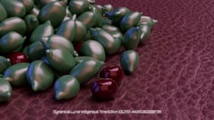 Seed Protocol - Dynamical Lunar Indigenous Time (DLITE) 43:28:22.0004124 #19 thumbnail