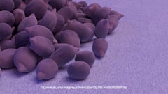 Seed Protocol - Dynamical Lunar Indigenous Time (DLITE) 43:28:22.0004124 #24 thumbnail