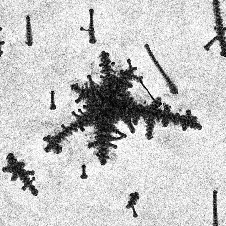 36 Points Display Edition