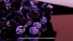 Seed Protocol - Dynamical Lunar Indigenous Time (DLITE) 43:28:22.0004124 #23 thumbnail