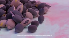 Seed Protocol - Dynamical Lunar Indigenous Time (DLITE) 43:28:22.0004124 #21 thumbnail