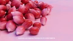 Seed Protocol - Dynamical Lunar Indigenous Time (DLITE) 43:28:22.0004124 #81 thumbnail