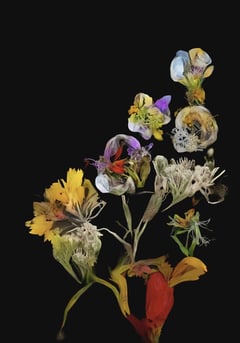hedgerow still life thumbnail