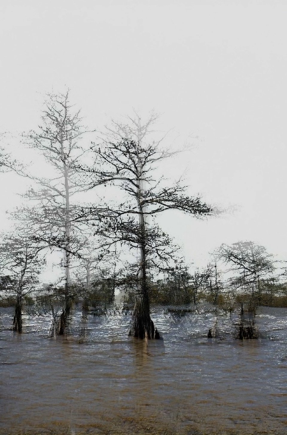 Fragments:30.2051 N, 90.1121 W by Anna Ridler & Caroline Sinders