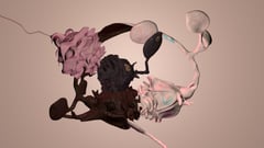 A Rose by Any Other Name thumbnail
