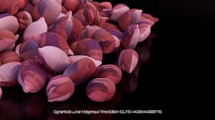Seed Protocol - Dynamical Lunar Indigenous Time (DLITE) 43:28:22.0004124 #38 thumbnail