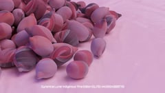 Seed Protocol - Dynamical Lunar Indigenous Time (DLITE) 43:28:22.0004124 #58 thumbnail