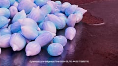 Seed Protocol - Dynamical Lunar Indigenous Time (DLITE) 43:28:22.0004124 #71 thumbnail