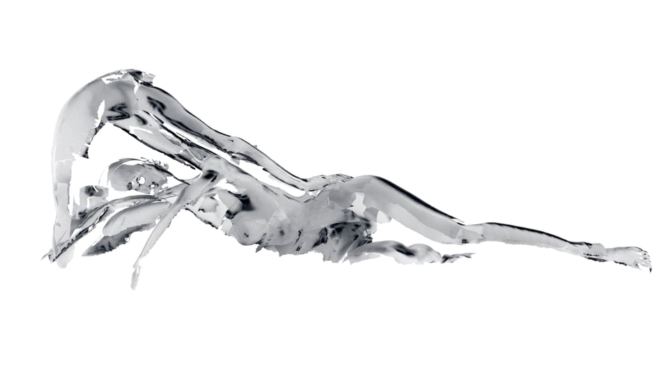 The Divers V: negative (left ortho) by Sophie Kahn