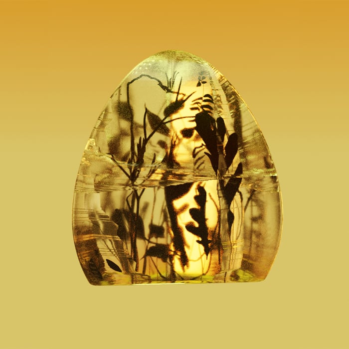 Human-Era Flora In Amber by Rodell Warner