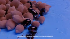 Seed Protocol - Dynamical Lunar Indigenous Time (DLITE) 43:28:22.0004124 #87 thumbnail