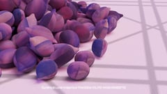 Seed Protocol - Dynamical Lunar Indigenous Time (DLITE) 43:28:22.0004124 #34 thumbnail