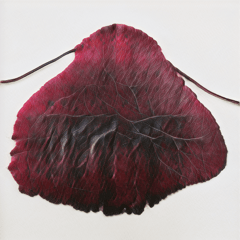 Leaves of Manifold, of Red and Gold thumbnail